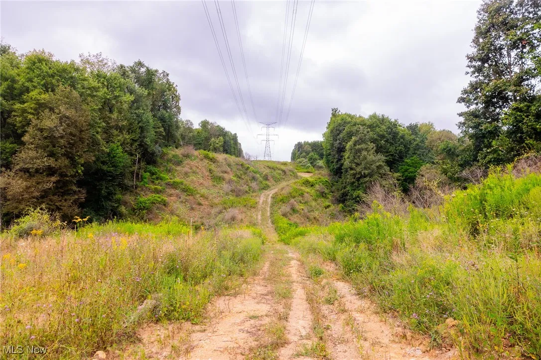 View of undeveloped land
