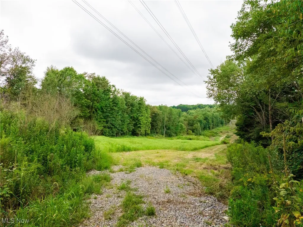 View of wooded area