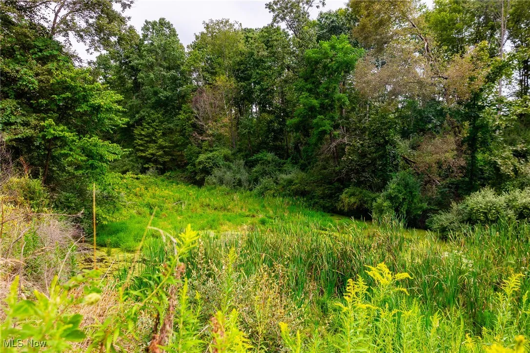 View of undeveloped land