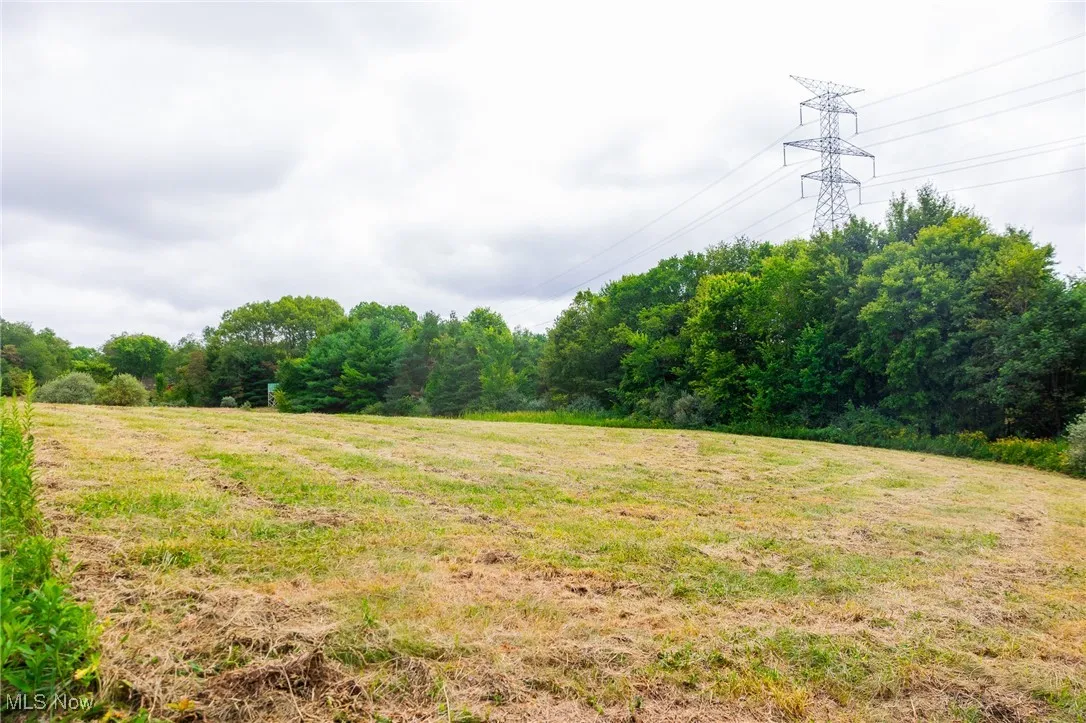 View of green lawn with a view of rural / pastoral area
