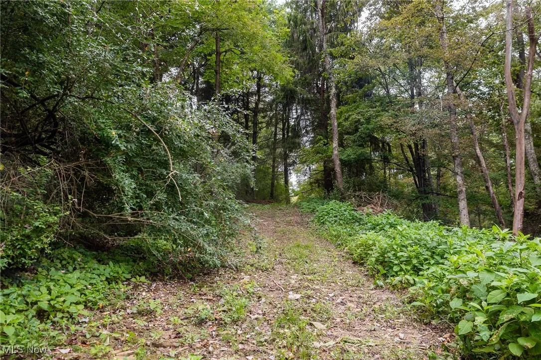 View of wooded area