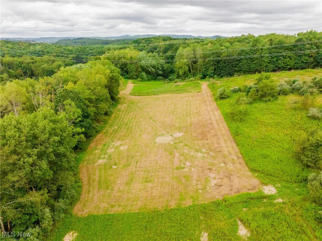 Drone / aerial view of a forest
