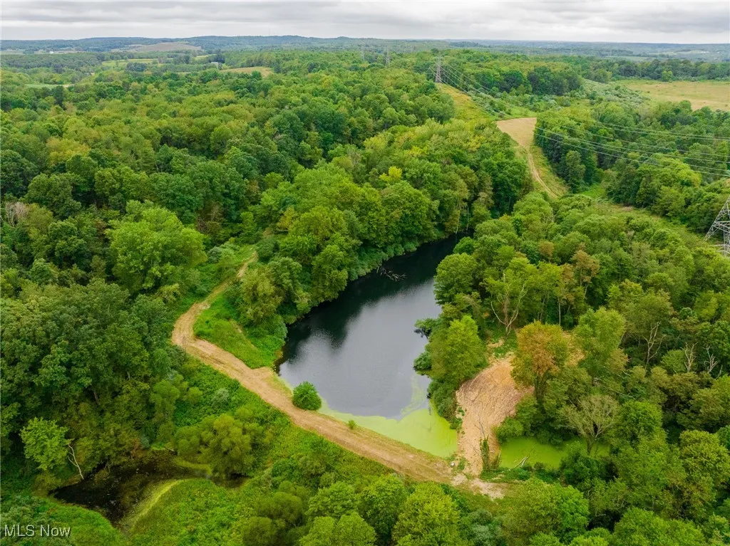 Bird's eye view of a large body of water and a heavily wooded area
