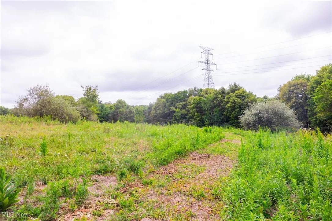 View of wooded area