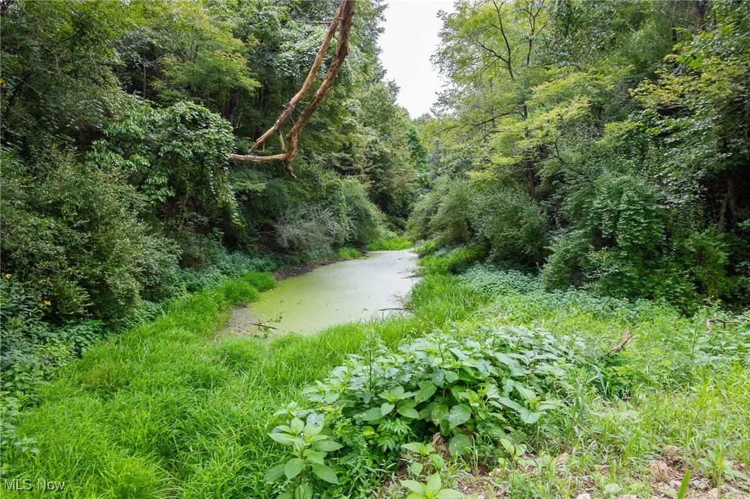 View of woods