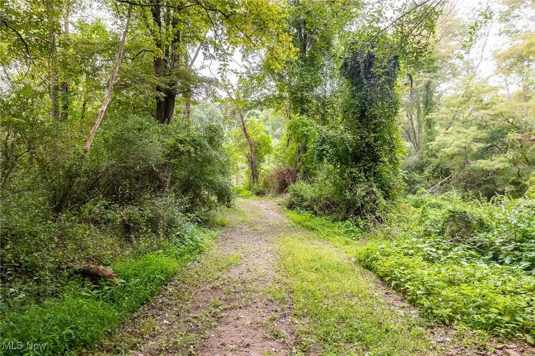 View of street with a wooded view