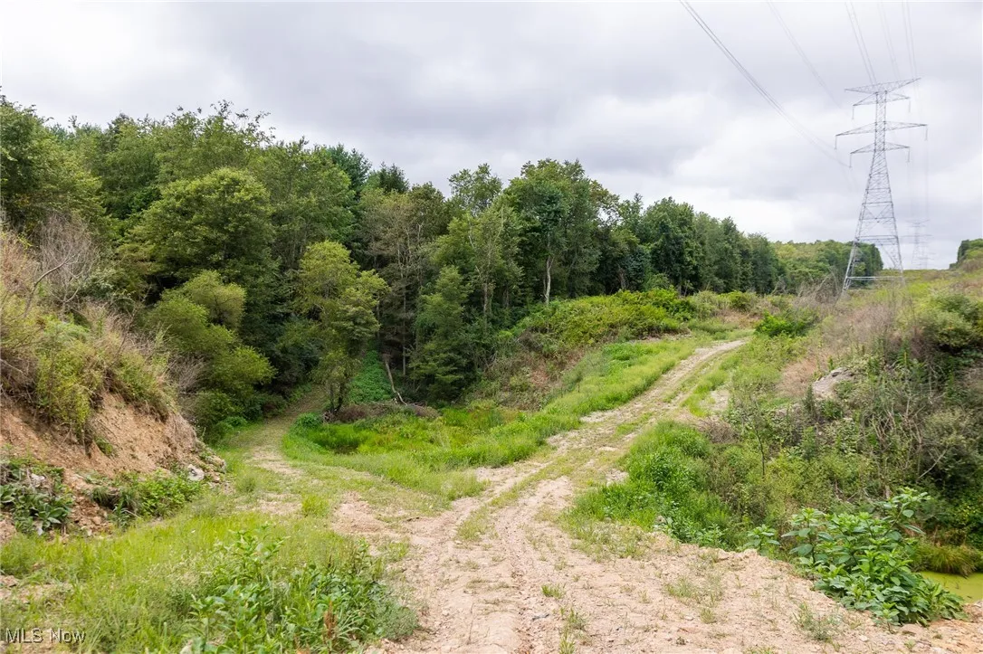 View of undeveloped land