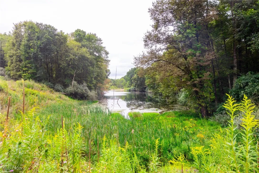 Water view with a heavily wooded area