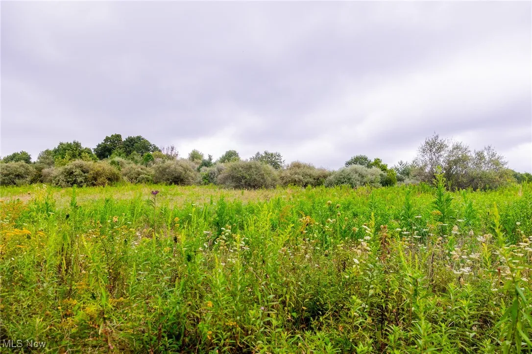 View of undeveloped land