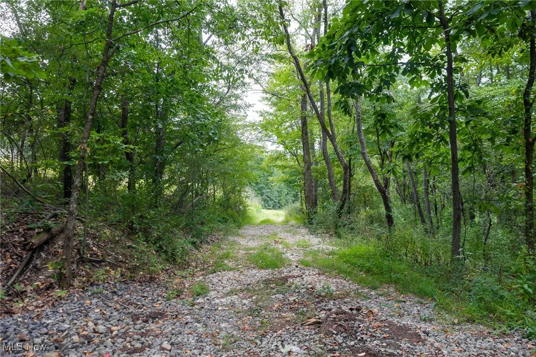 View of road featuring a wooded view