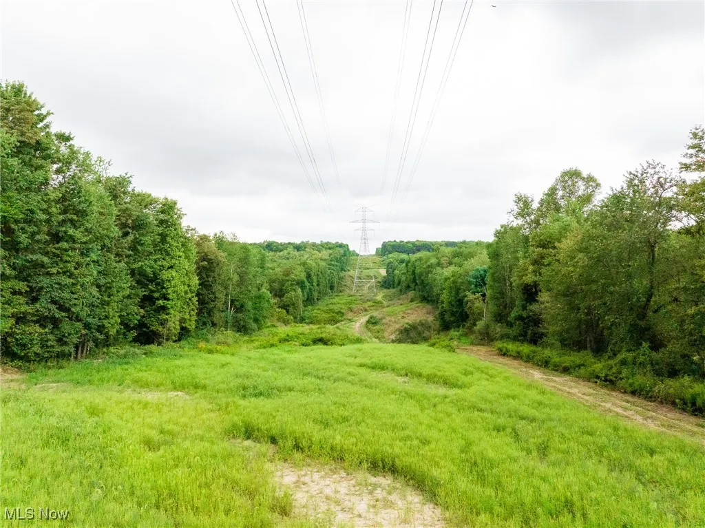 View of nature