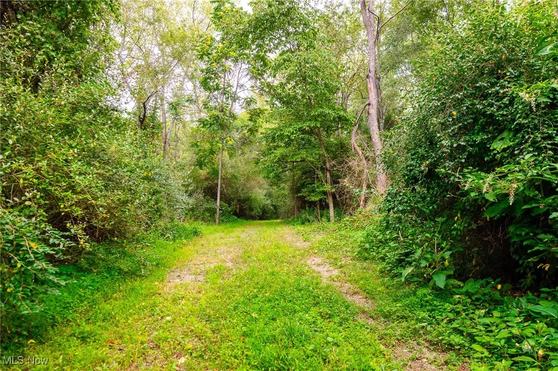 View of woods