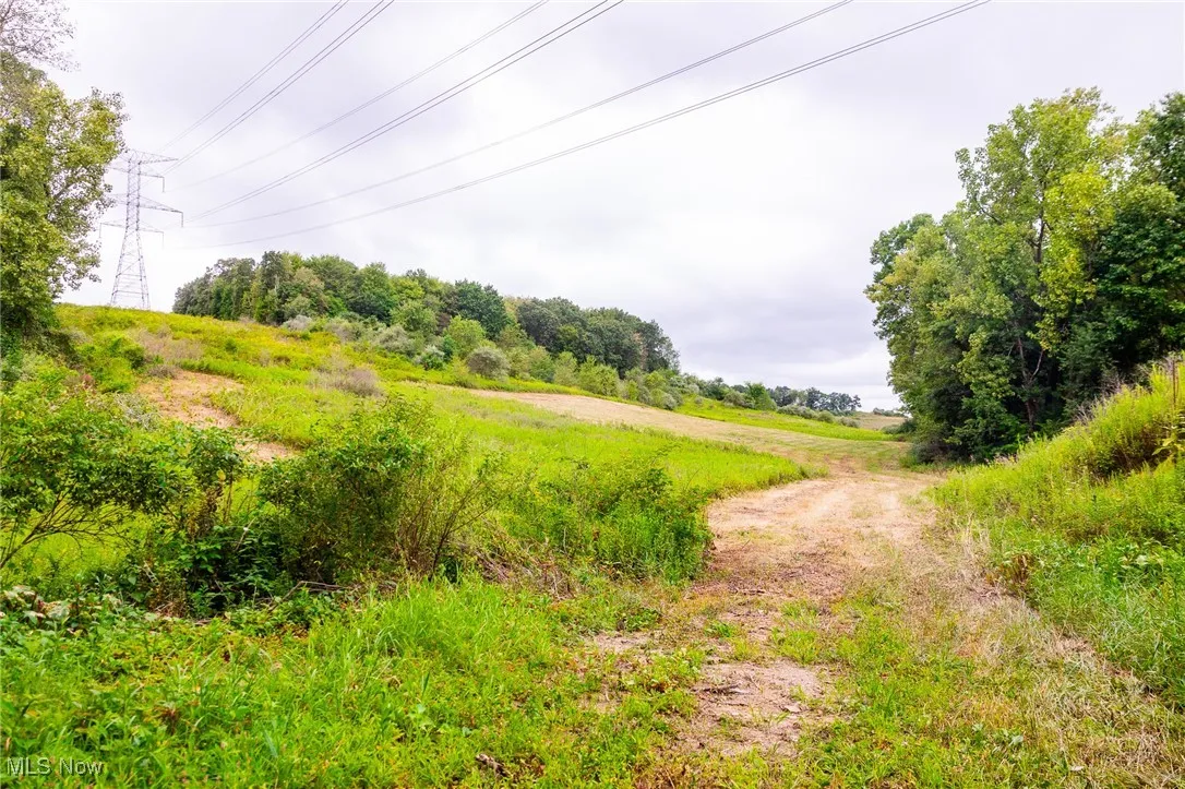 View of nature