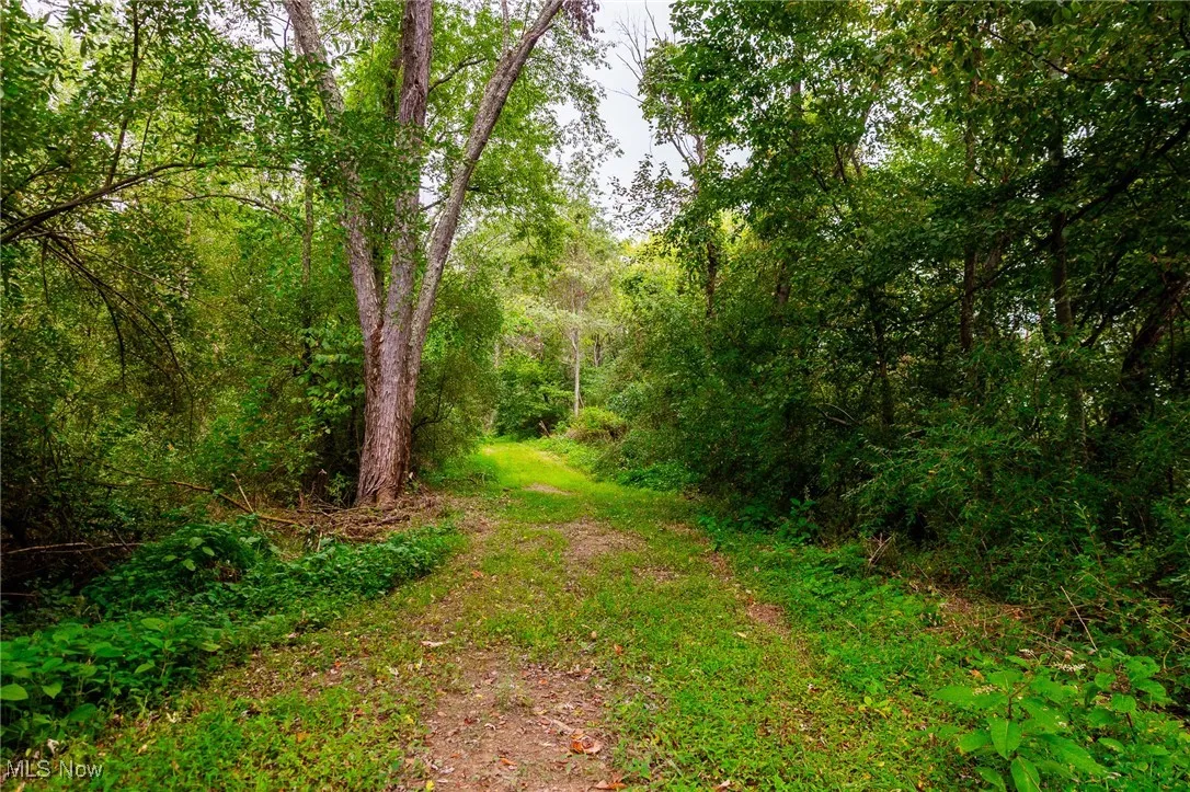 View of road with a view of trees