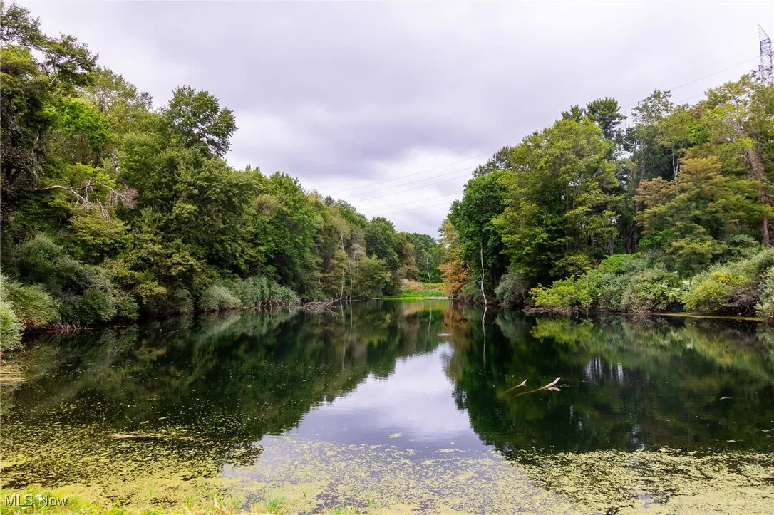 Water view with a forest