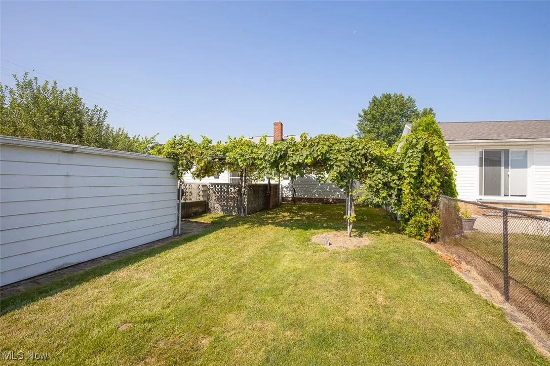 Grassy backyard.