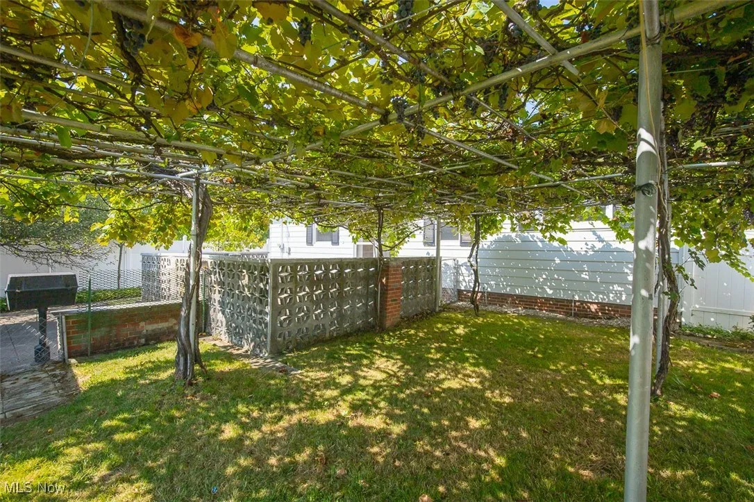 Grape trellis.