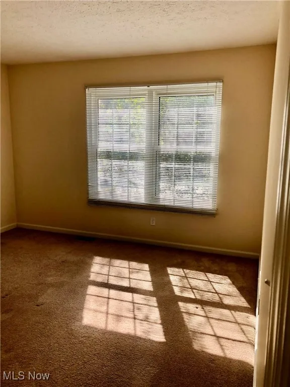 Carpeted empty room featuring healthy amount of natural light and a textured ceiling