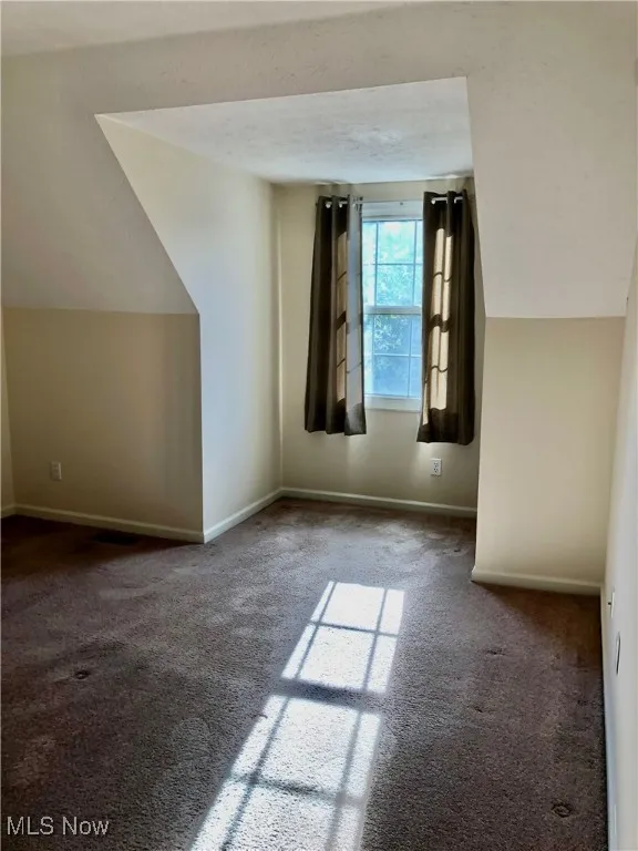 Additional living space featuring carpet flooring, vaulted ceiling, and a textured ceiling