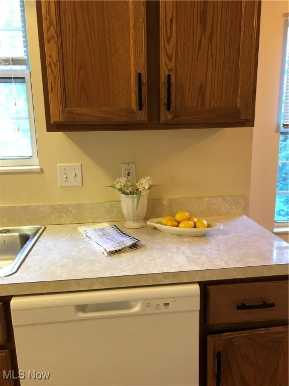 Kitchen featuring stainless steel dishwasher and light countertops