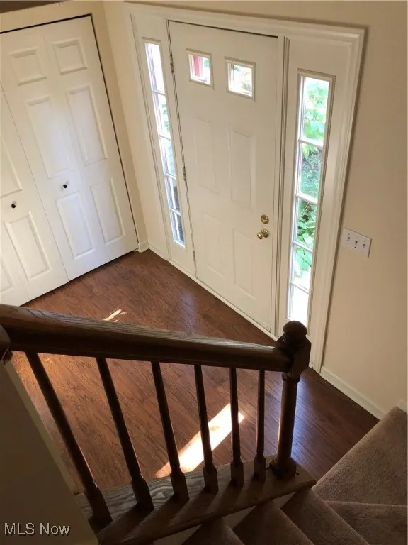 Entrance foyer featuring dark wood-style flooring and stairs