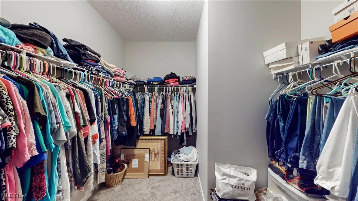 Spacious closet featuring carpet floors
