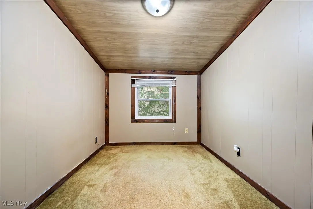 Spare room with ornamental molding, light carpet, and wooden walls