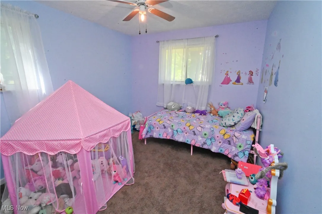 5950 Mount Everett Road, Hubbard, Ohio 44425,MLS Now Listing ID