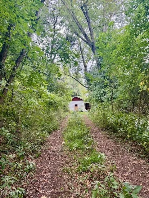 View of wooded area