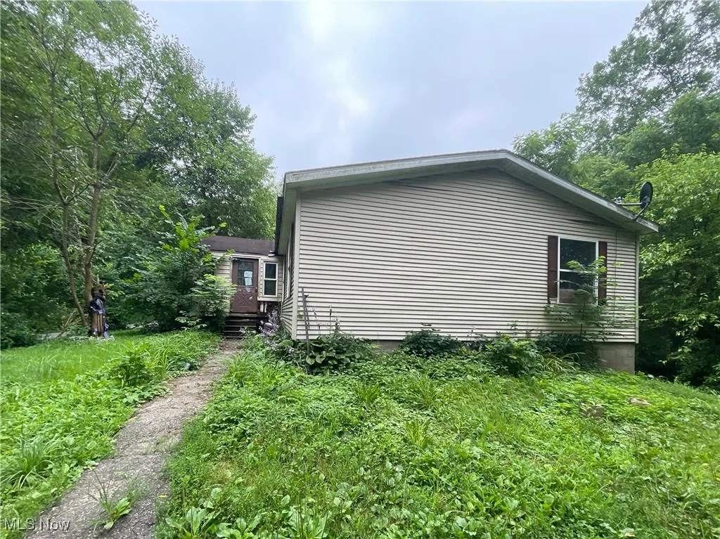 56000 Crabapple Road, Alledonia, Ohio 43902,MLS Now Listing ID