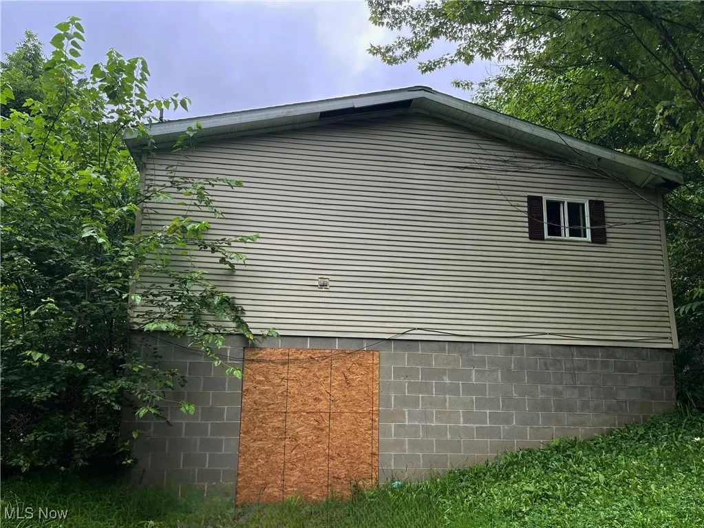 56000 Crabapple Road, Alledonia, Ohio 43902,MLS Now Listing ID