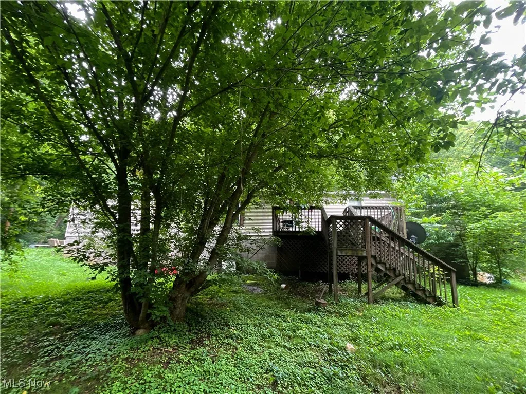 56000 Crabapple Road, Alledonia, Ohio 43902,MLS Now Listing ID