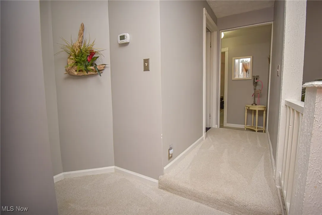 Hall the the bathroom and bedrooms.