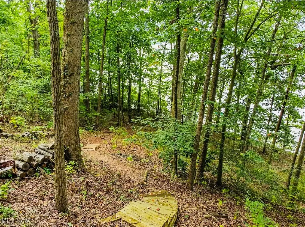 33680 Hidden Ledges Road, Piedmont, Ohio 43983,MLS Now Listing ID