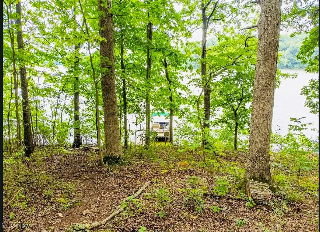 33680 Hidden Ledges Road, Piedmont, Ohio 43983,MLS Now Listing ID