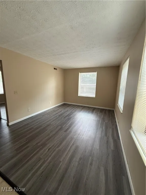 Spare room with plenty of natural light, dark wood-style flooring, and a textured ceiling