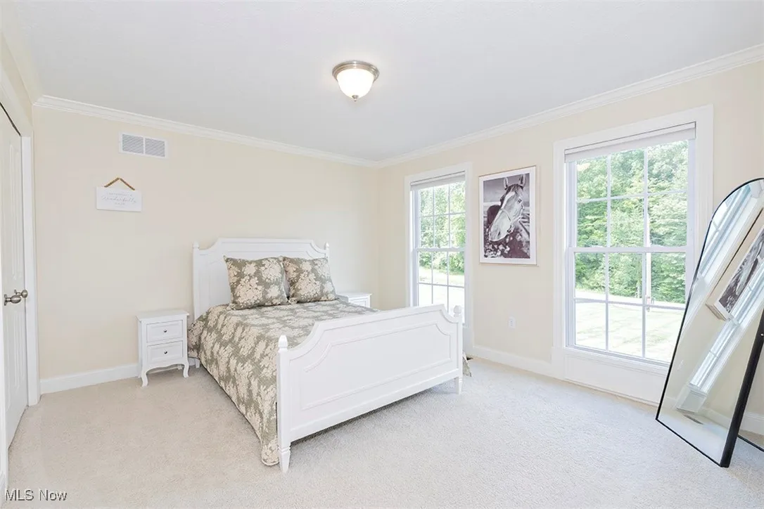 16269 Snyder Road, Chagrin Falls, Ohio 44022,MLS Now Listing ID