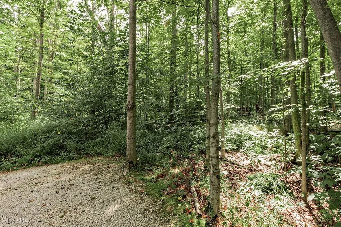 16269 Snyder Road, Chagrin Falls, Ohio 44022,MLS Now Listing ID
