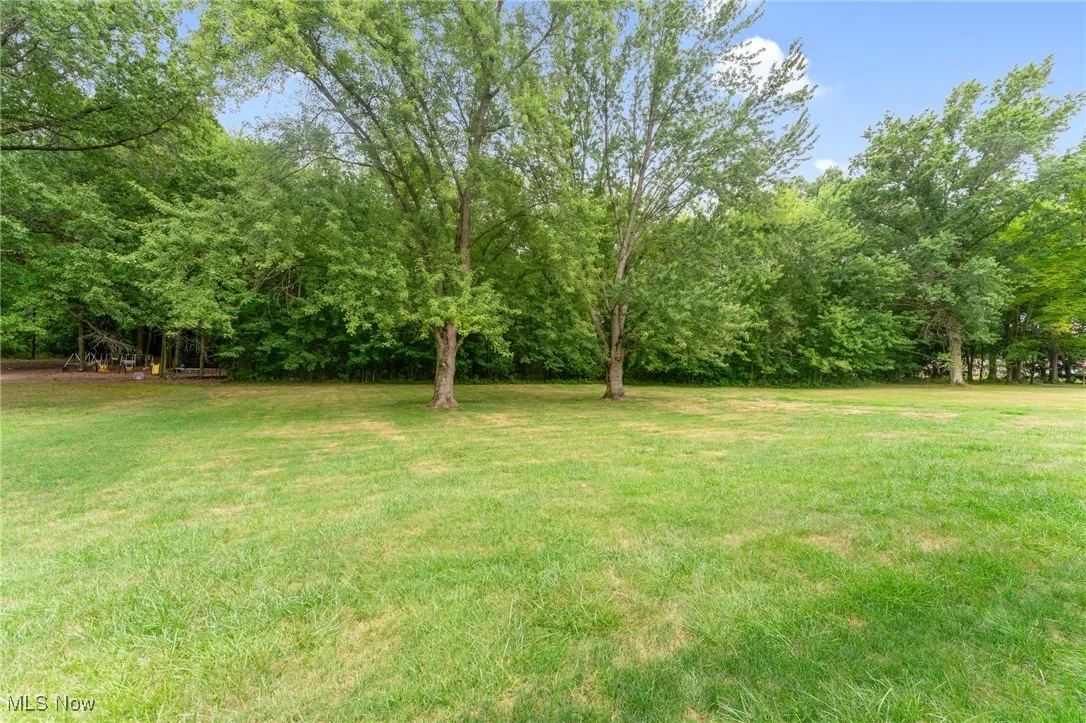 View of green lawn with view of wooded area