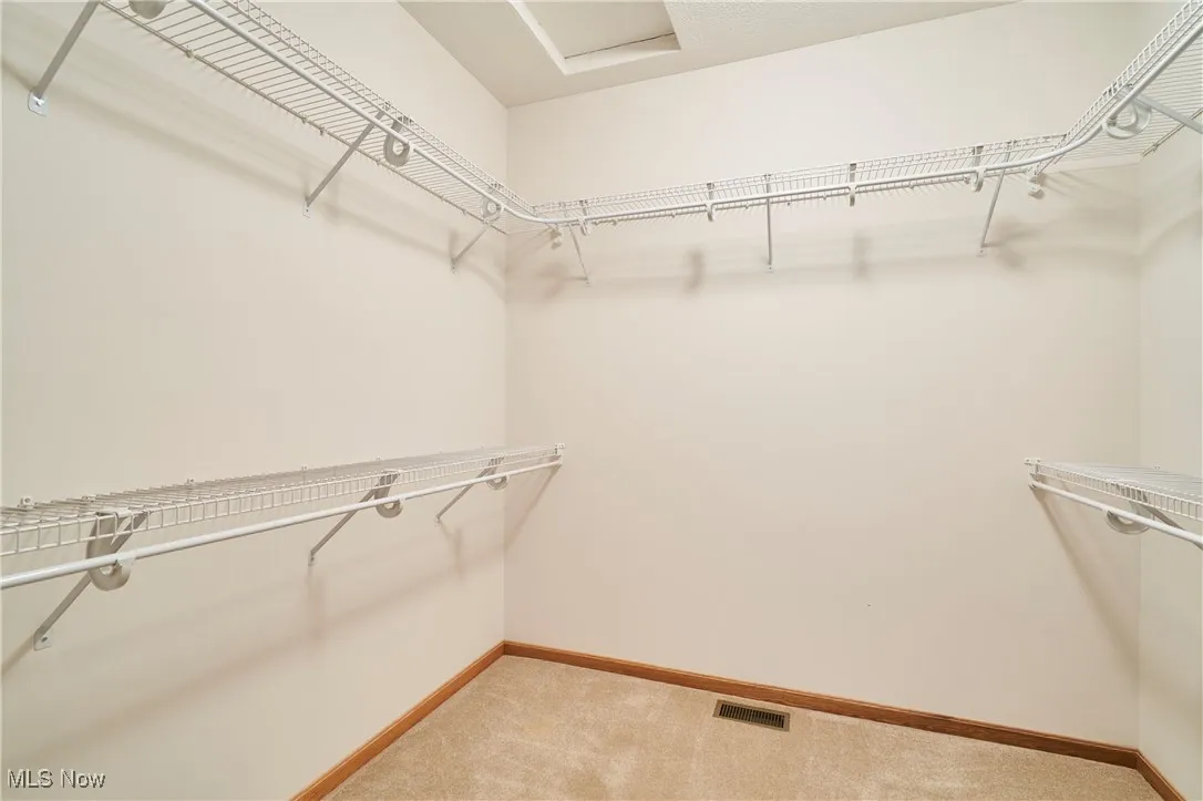 Master with walk in closet featuring carpet flooring