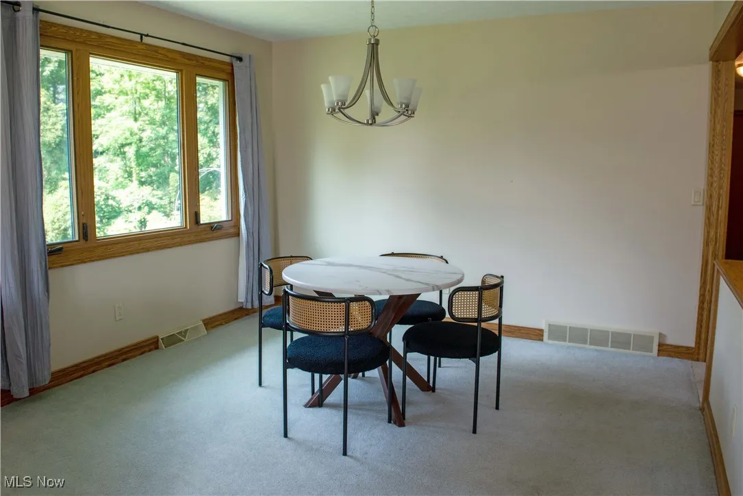 4773 Persimmon Lane, Brunswick, Ohio 44212,MLS Now Listing ID