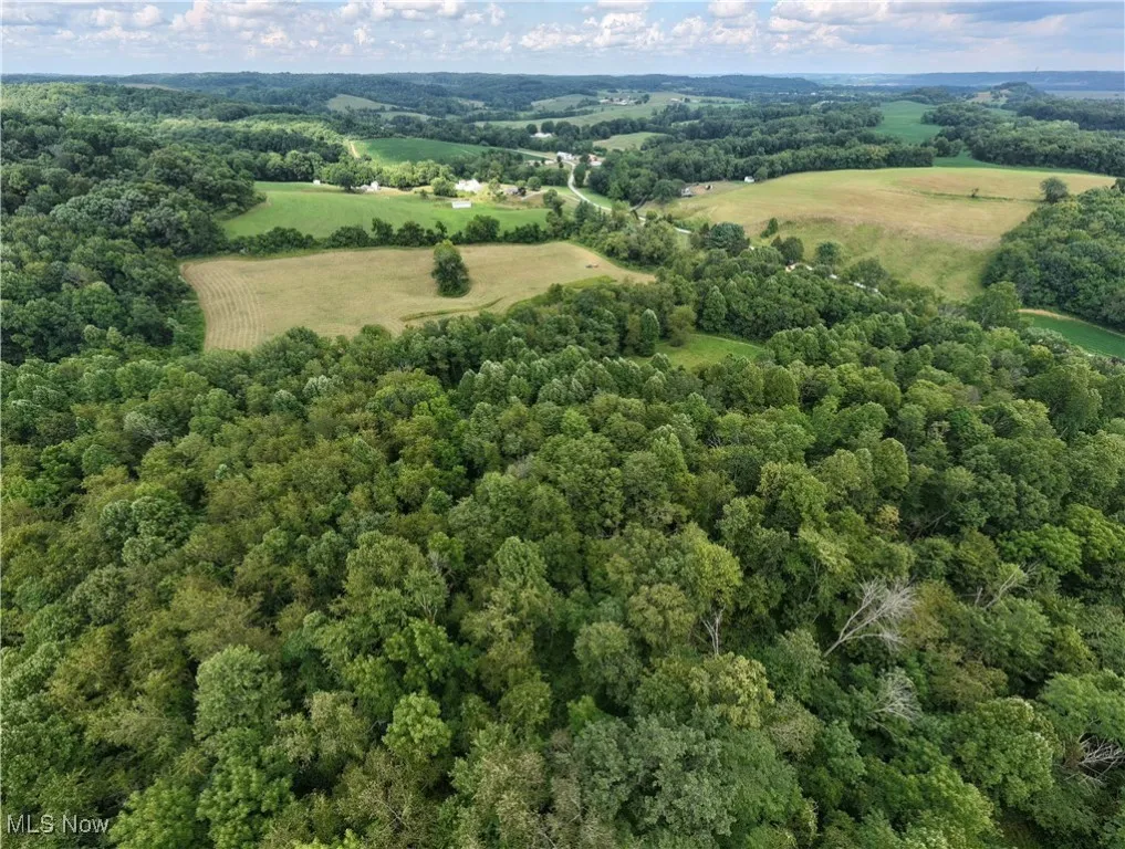 Bird's eye view of a heavily wooded area