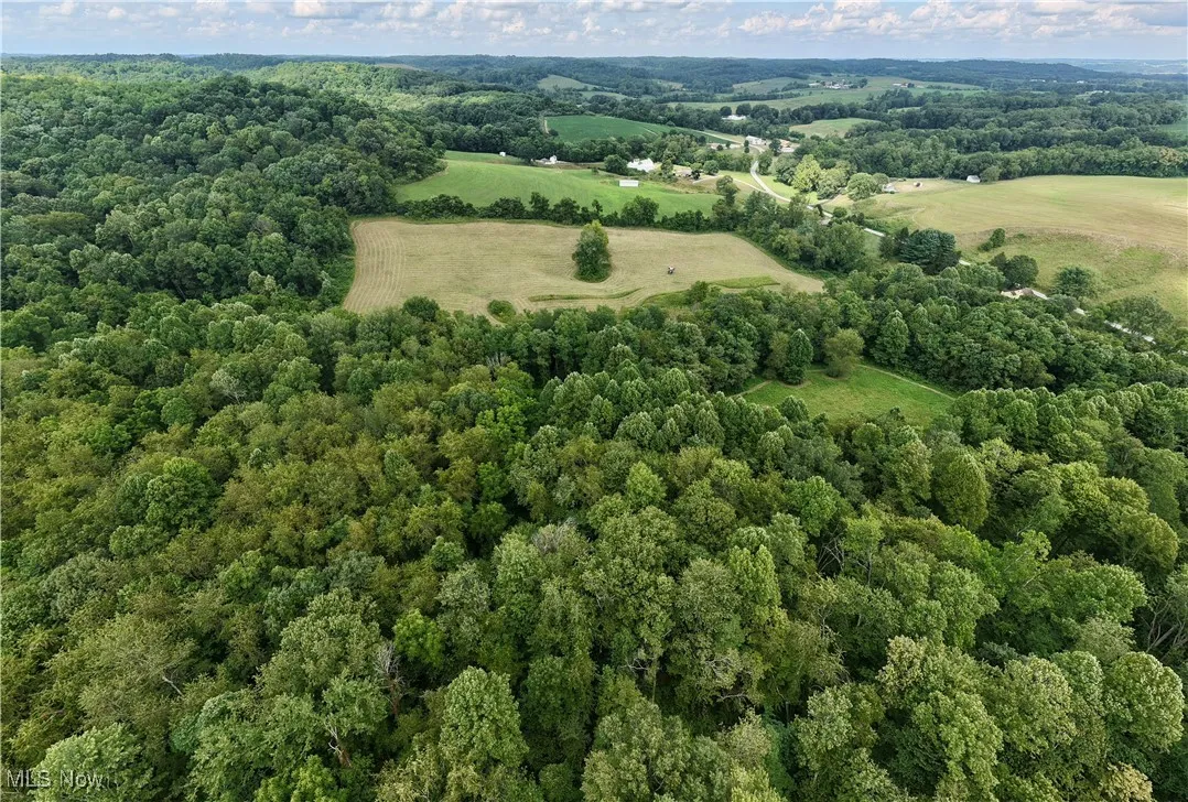 View of property location with a forest