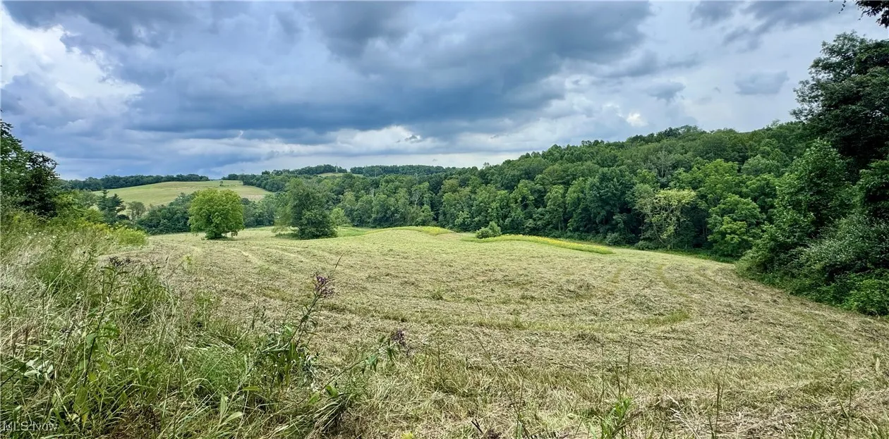 View of local wilderness with rural landscape