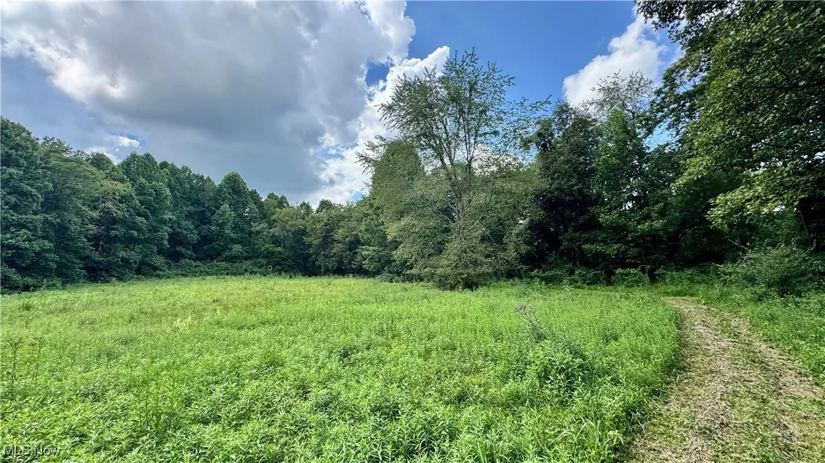 View of woods