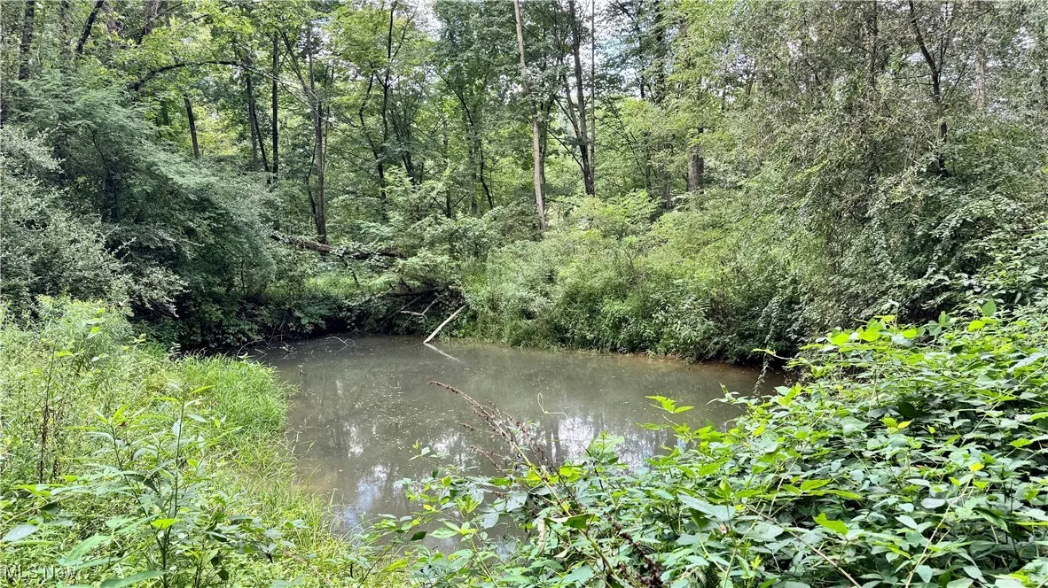 View of local wilderness with a nearby body of water