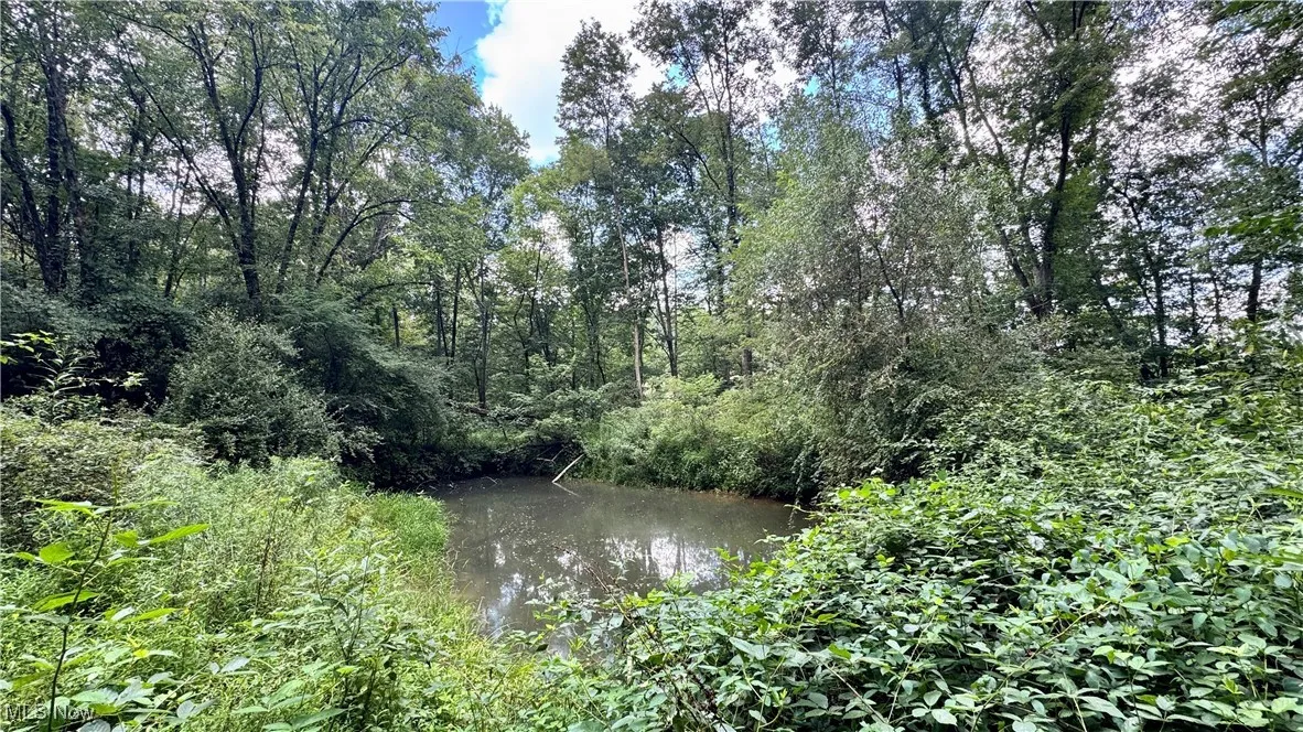 View of local wilderness featuring a large body of water