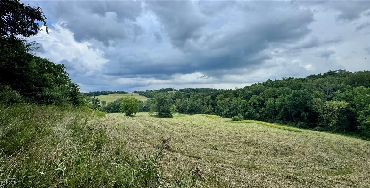 View of nature with rural landscape