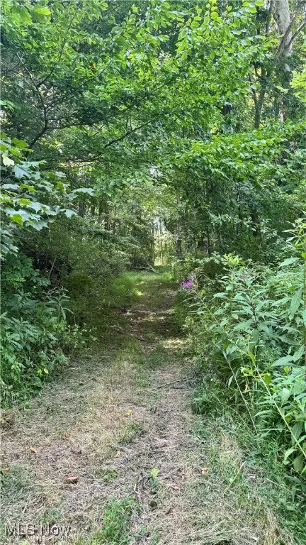 View of wooded area