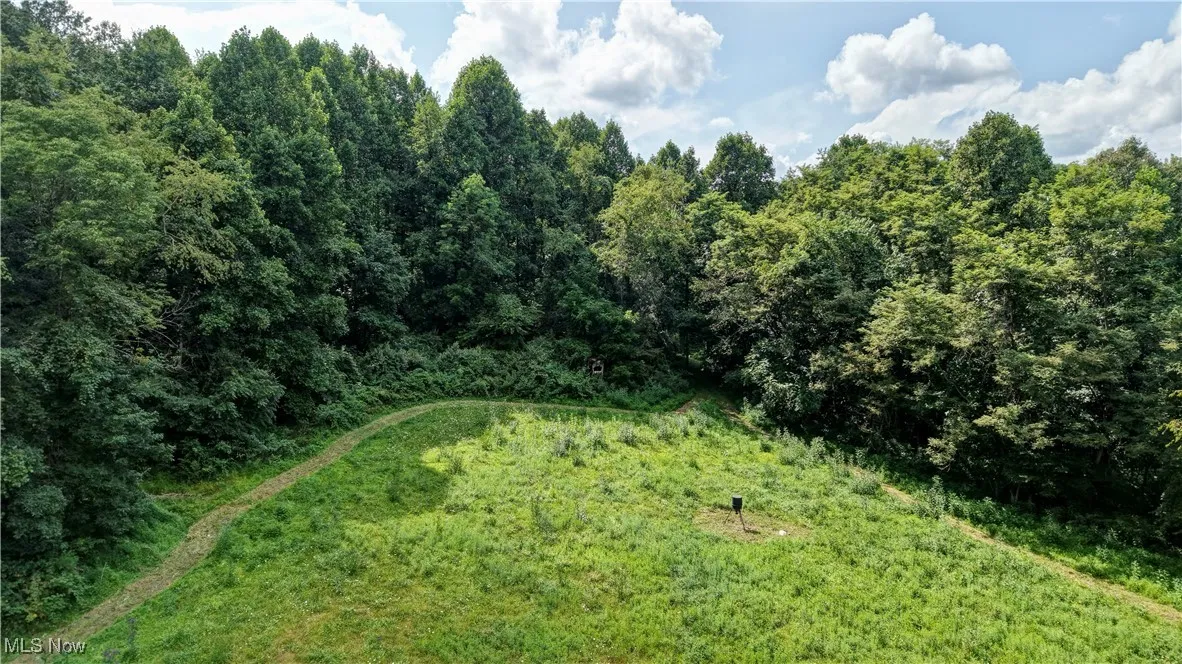 View of local wilderness